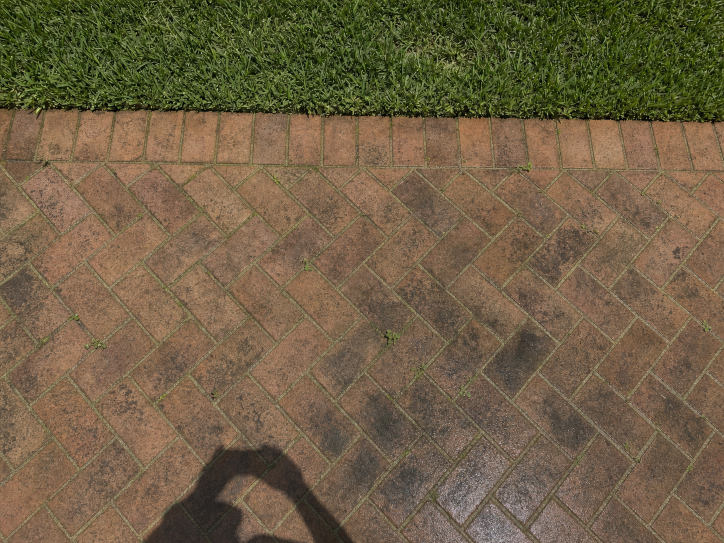 Dirty stained pavers covered in algae and weeds before cleaning and sealing